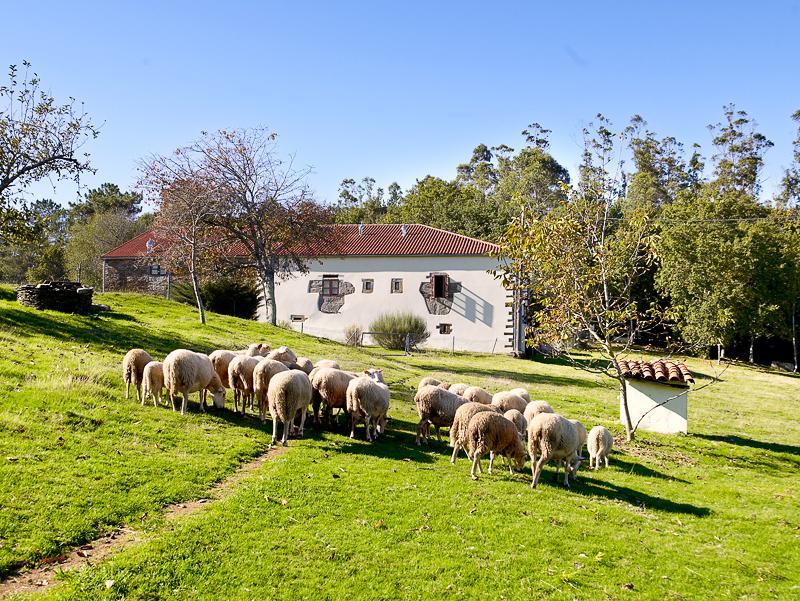 Penzion A Pena De Augasantas Oca de Abaixo Exteriér fotografie