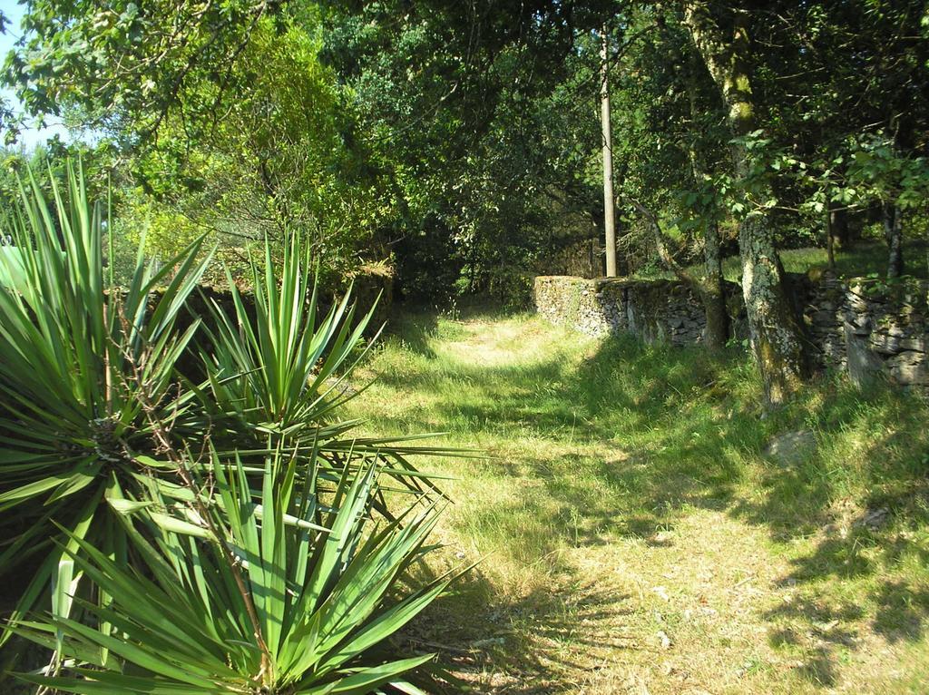 Penzion A Pena De Augasantas Oca de Abaixo Exteriér fotografie